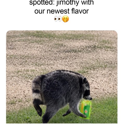 Instagram post with the caption: oh Jimothy! just keep the new flavor under wraps for now